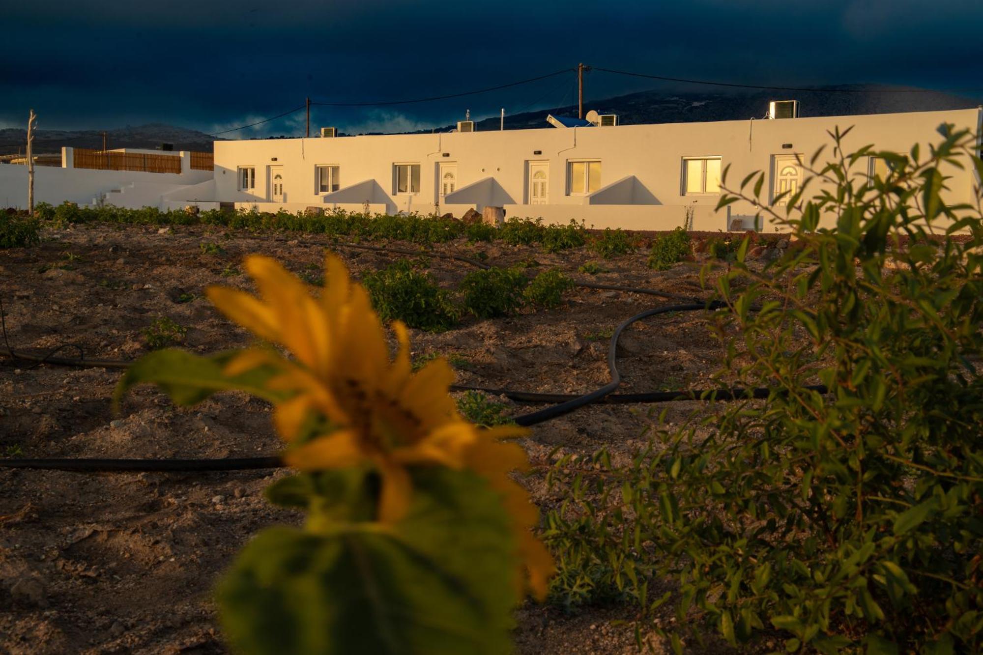 Calma Eco Houses Sunset View Emporio  Exterior photo